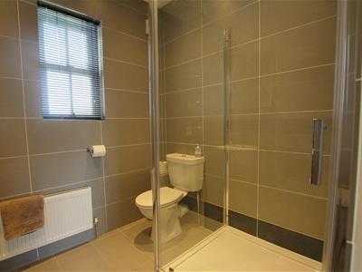 Picture 30